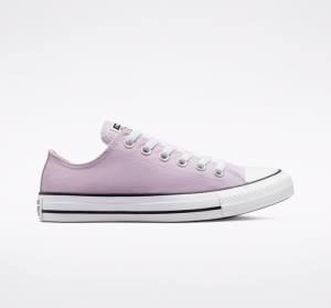 Zapatillas Bajas Converse Chuck Taylor All Star Seasonal Color Lavanda | CV-165OAT