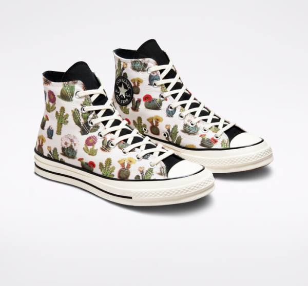 Zapatillas Altas Converse Chuck 70 Succulents Negras | CV-123ASG